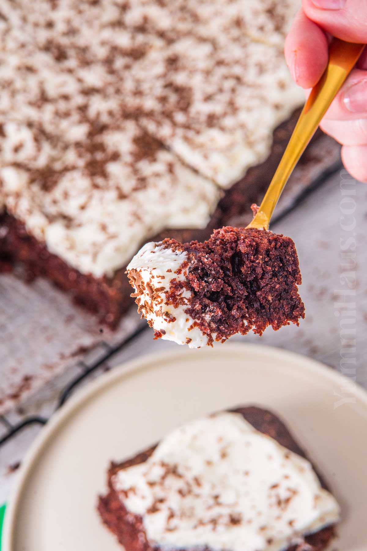 chocolate cake with beer